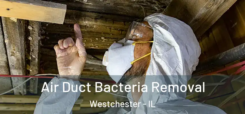  Air Duct Bacteria Removal Westchester - IL