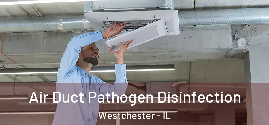  Air Duct Pathogen Disinfection Westchester - IL