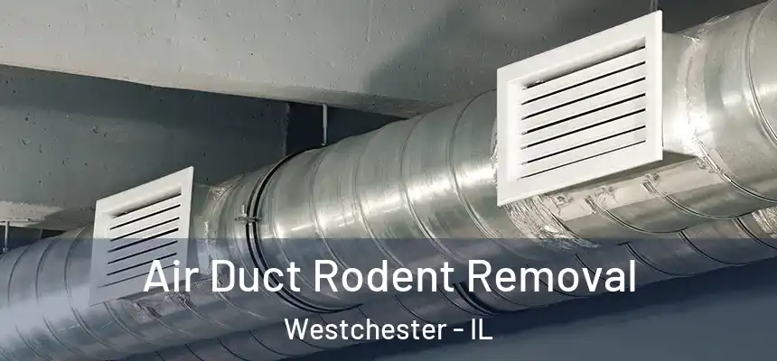  Air Duct Rodent Removal Westchester - IL