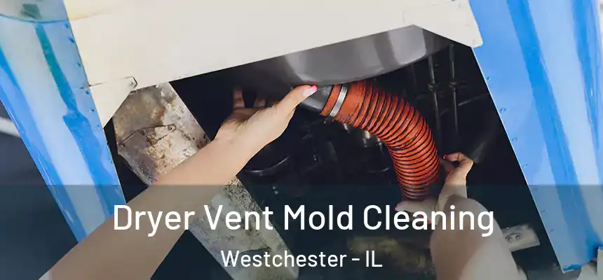  Dryer Vent Mold Cleaning Westchester - IL