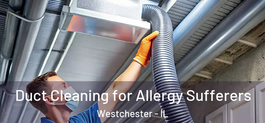 Duct Cleaning for Allergy Sufferers Westchester - IL