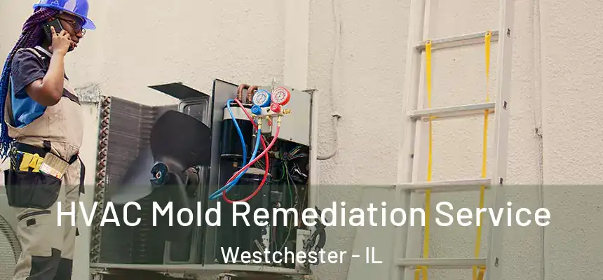 HVAC Mold Remediation Service Westchester - IL