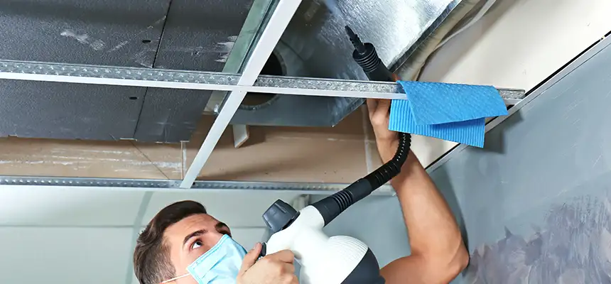 Our Air Duct Rodent Removal Services in Westchester, IL