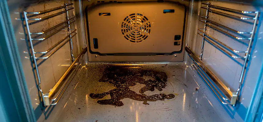 Our Dryer Vent Mold Cleaning Services in Westchester, IL