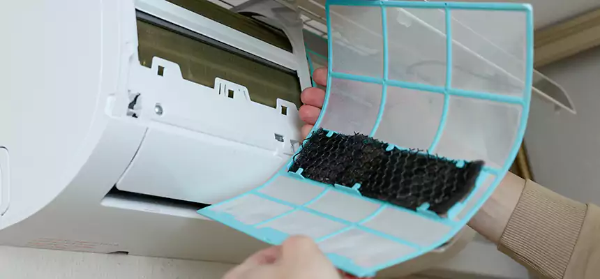 Gentle Ductwork Odor-Control Pet Dander Duct Cleaning in Westchester, IL