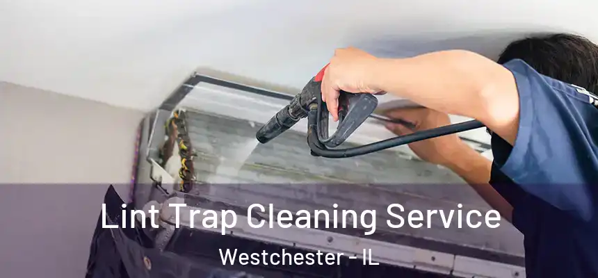  Lint Trap Cleaning Service Westchester - IL