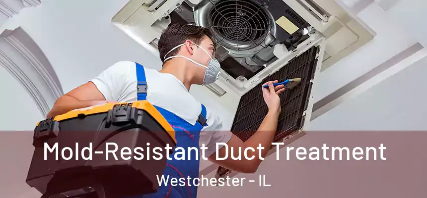  Mold-Resistant Duct Treatment Westchester - IL