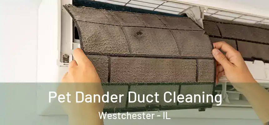 Pet Dander Duct Cleaning Westchester - IL