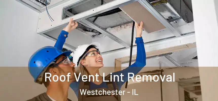 Roof Vent Lint Removal Westchester - IL