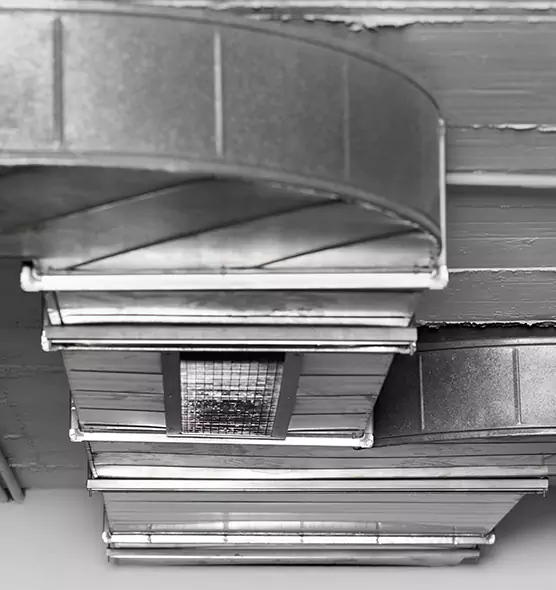 Professional Air Duct Pet Hair Removal in Westchester, IL