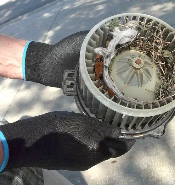 About Air Duct Rat Removal in Westchester, IL