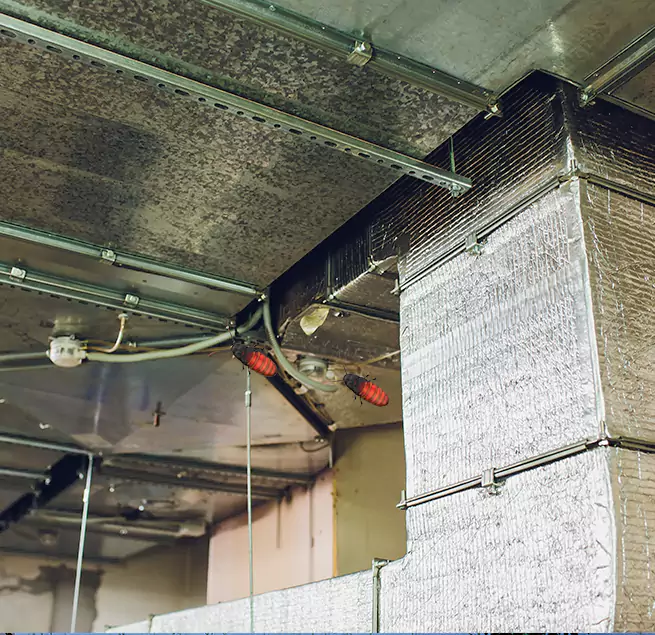 Why Homeowners & Businesses Trust Us in Westchester, IL?