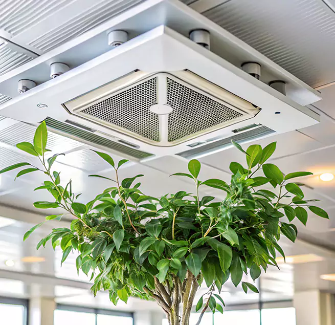 Why Homeowners & Businesses Trust Us in Westchester, IL?